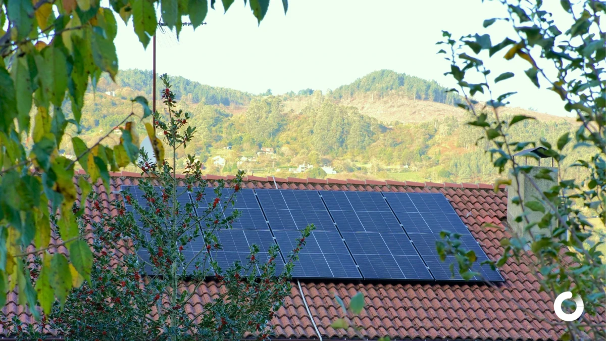 Cómo reducir tu huella de carbono