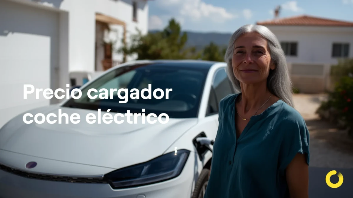 ¿Cuánto cuesta un cargador de coche eléctrico?