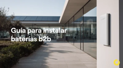 Guia completa baterías b2b